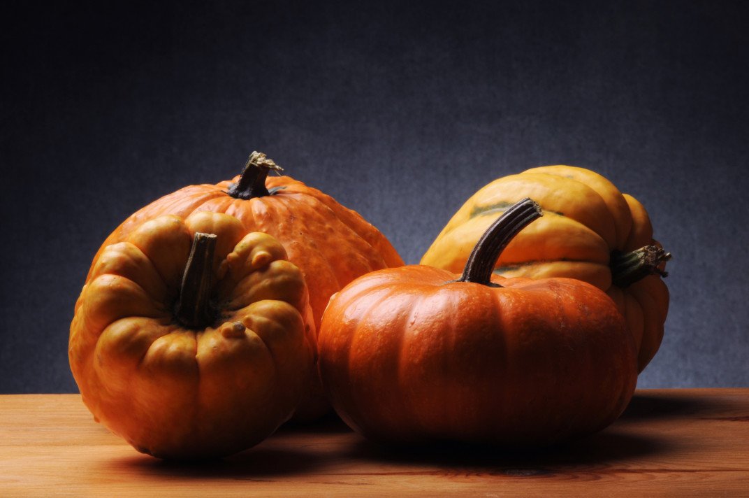 Cuidado con las calabazas: no comerlas si tienen sabor amargo