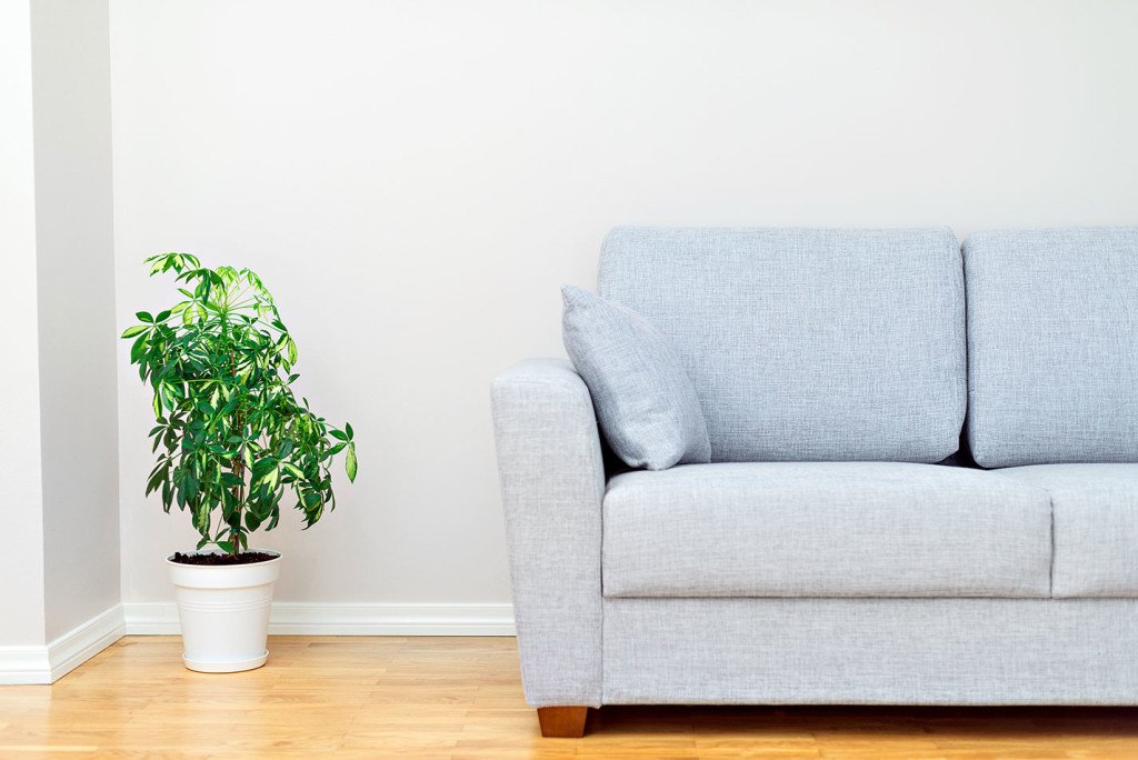 TAPICERIA-SOFA