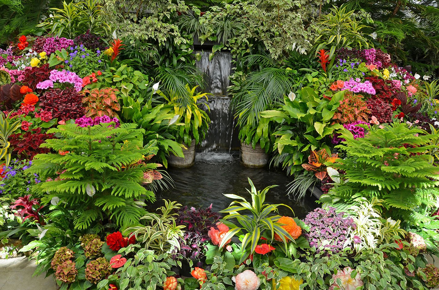 A las plantas tropicales no les gusta el sol