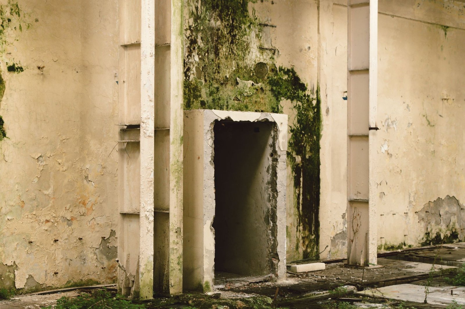 Humedad en la pared de una vivienda