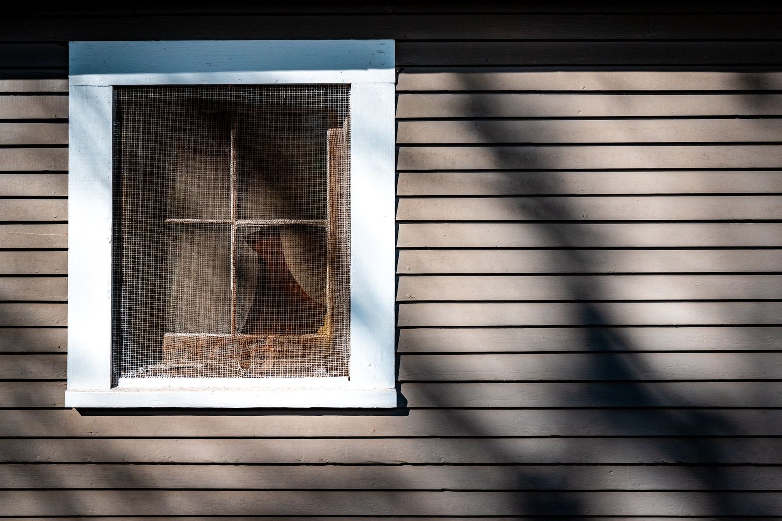 Ventana con mosquitera en una habitación luminosa en verano